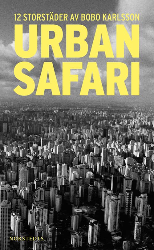 Urban Safari