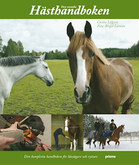 Den svenska hästhandboken