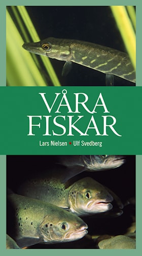 Våra fiskar