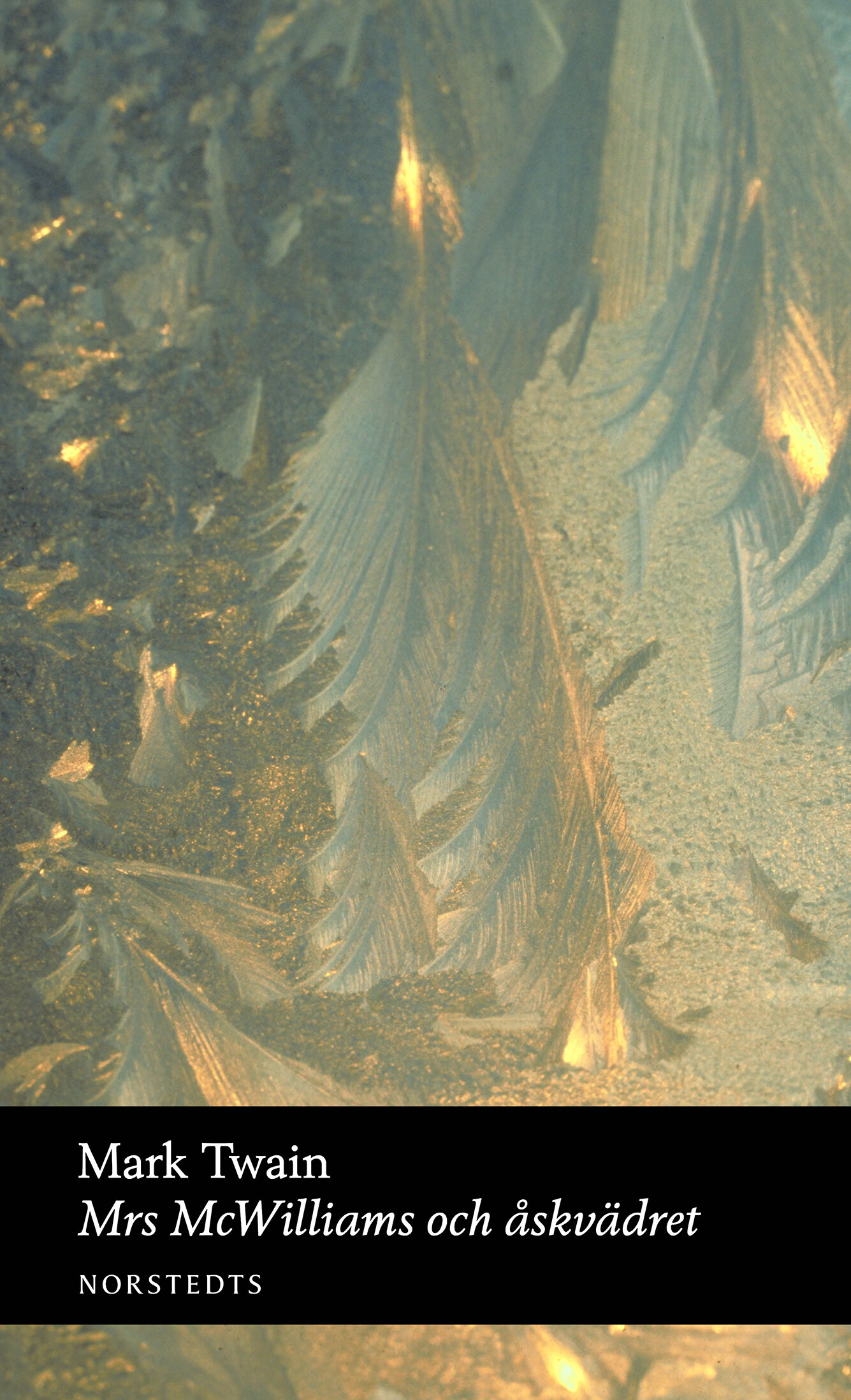 Mrs McWilliams och åskvädret