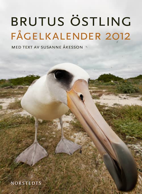 Fågelkalender 2012