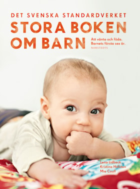 Stora boken om barn