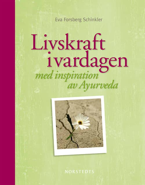 Livskraft i vardagen