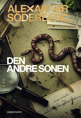 Den andre sonen