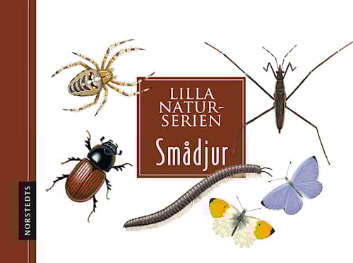 Smådjur