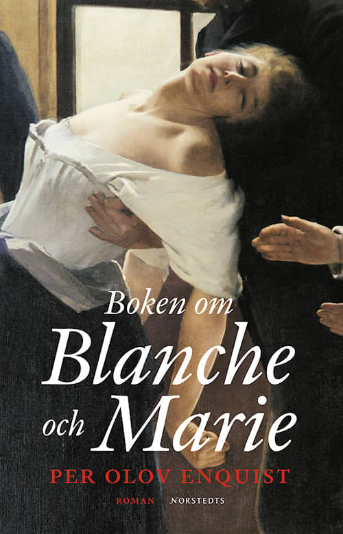 Boken om Blanche och Marie