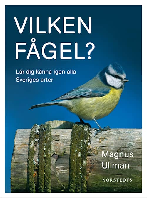 Vilken fågel?